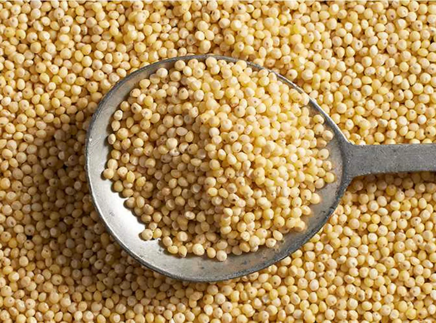 Little Millet - India Origin